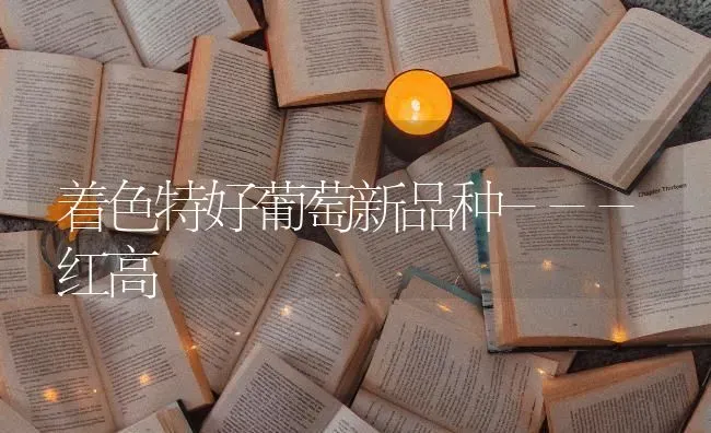 着色特好葡萄新品种---红高 | 瓜果种植