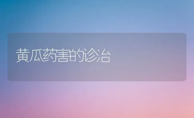 黄瓜药害的诊治 | 蔬菜种植