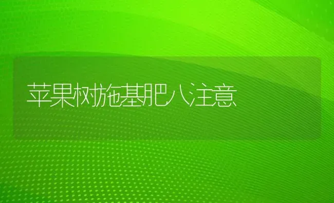 苹果树施基肥八注意 | 瓜果种植