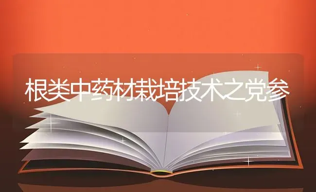 根类中药材栽培技术之党参 | 药材种植