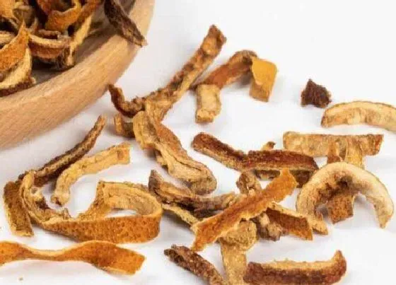 果实保存|陈皮保存方法 储存陈皮最佳方法