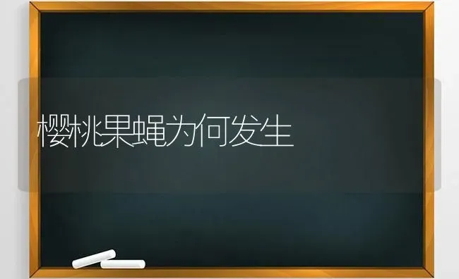 樱桃果蝇为何发生 | 瓜果种植