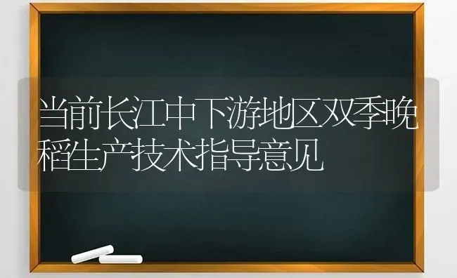 谨防水稻扬花期施药防治病虫害 | 粮油作物种植