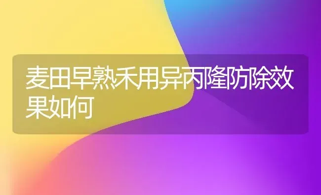 麦田早熟禾用异丙隆防除效果如何 | 瓜果种植