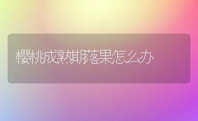 樱桃成熟期落果怎么办 | 瓜果种植