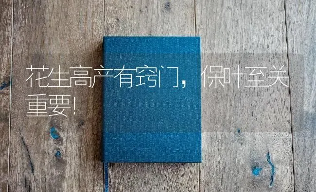 冬季蔬菜防病虫 大棚里面“熏起来” | 蔬菜种植
