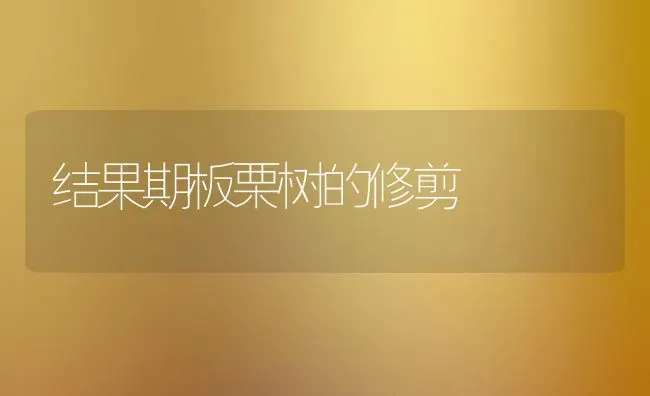 结果期板栗树的修剪 | 瓜果种植