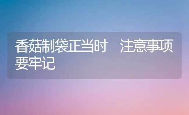 香菇制袋正当时 注意事项要牢记 | 食用菌种植