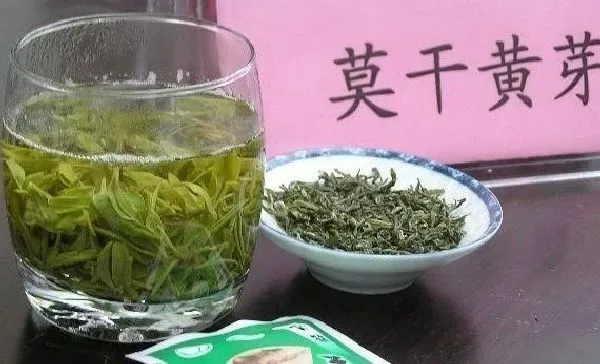 食用常识|莫干黄芽属于什么茶