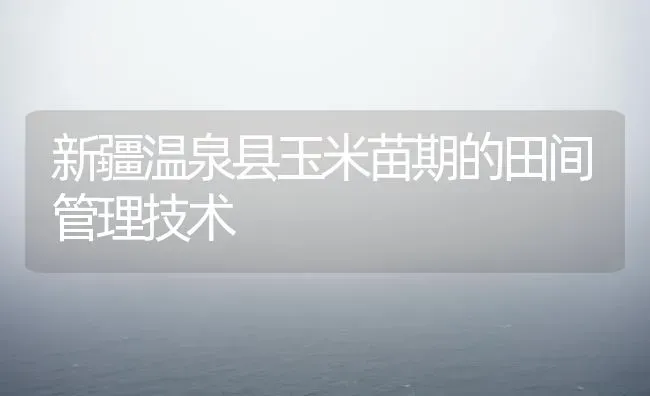 新疆温泉县玉米苗期的田间管理技术 | 粮油作物种植