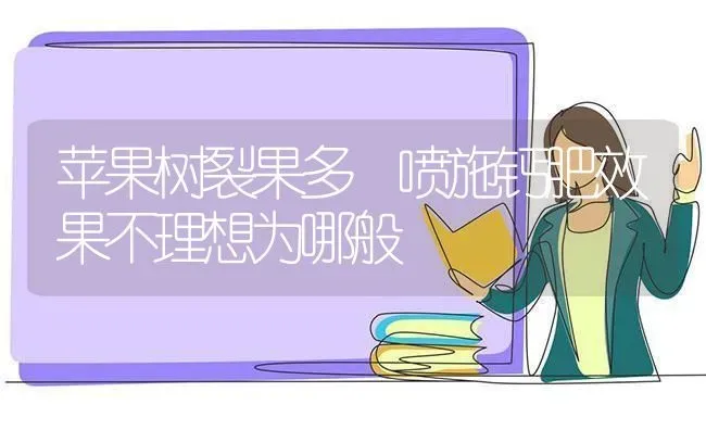 苹果树裂果多 喷施钙肥效果不理想为哪般 | 瓜果种植