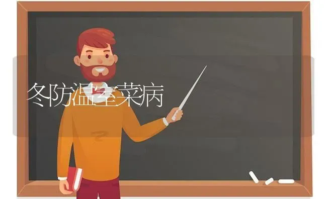 冬防温室菜病 | 蔬菜种植