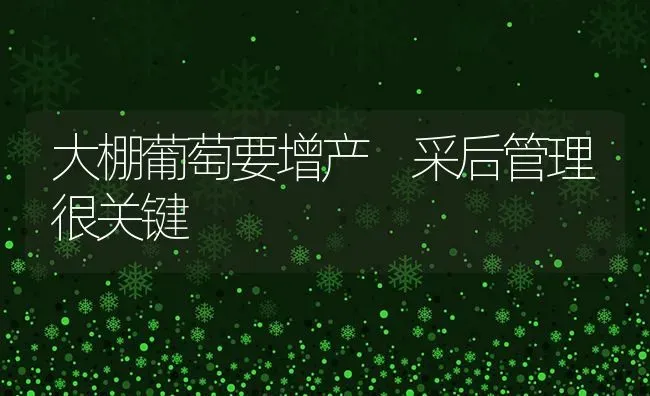 大棚葡萄要增产 采后管理很关键 | 瓜果种植