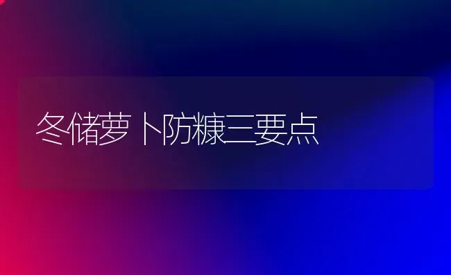 冬储萝卜防糠三要点 | 蔬菜种植