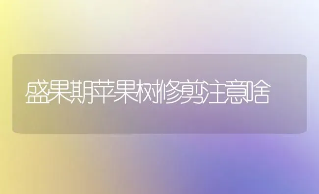 盛果期苹果树修剪注意啥 | 瓜果种植