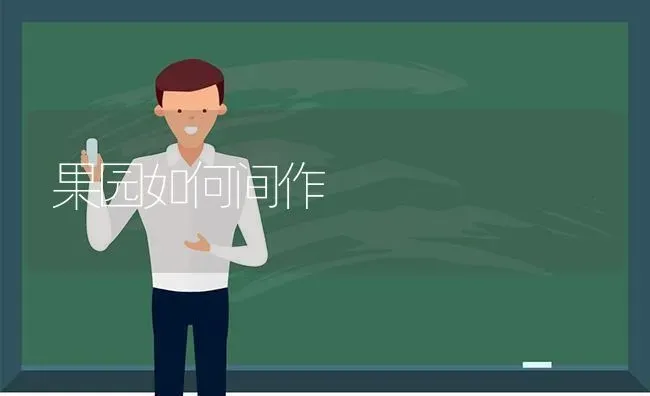 果园如何间作 | 瓜果种植