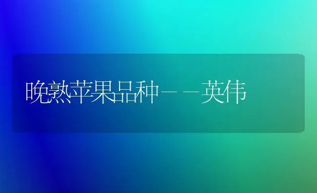 晚熟苹果品种－－英伟 | 瓜果种植