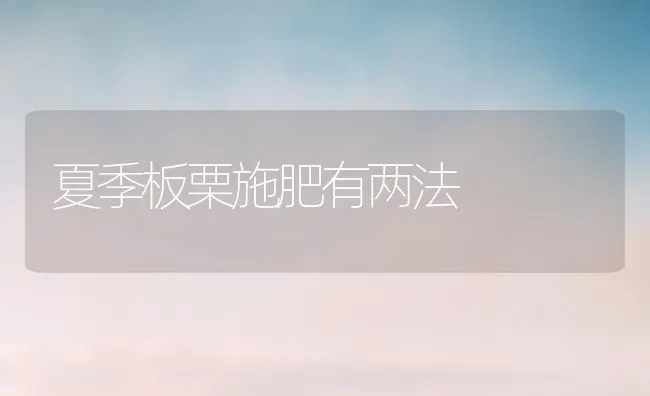 夏季板栗施肥有两法 | 种植肥料施肥