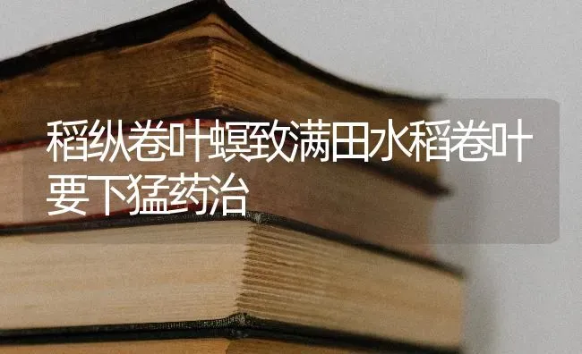 稻纵卷叶螟致满田水稻卷叶要下猛药治 | 粮油作物种植