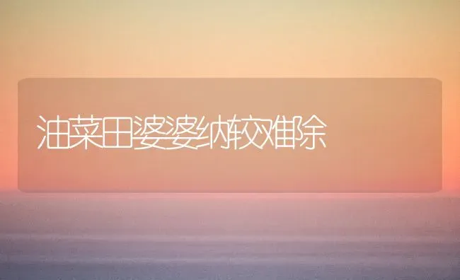 番茄幼果顶裂的原因及预防 | 瓜果种植