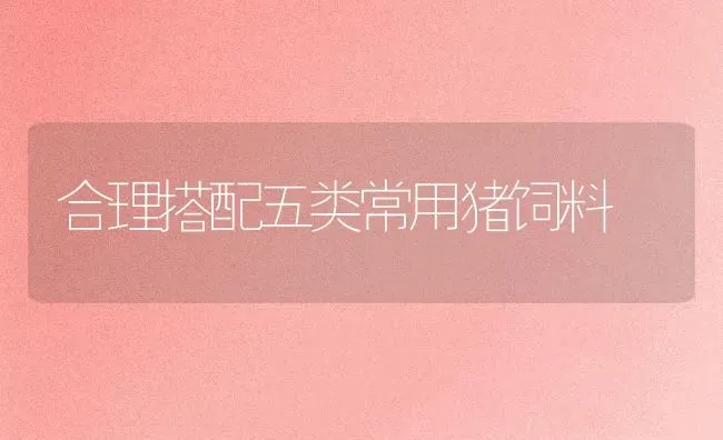 合理搭配五类常用猪饲料 | 瓜果种植