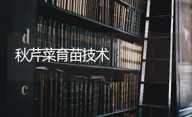 秋芹菜育苗技术 | 蔬菜种植