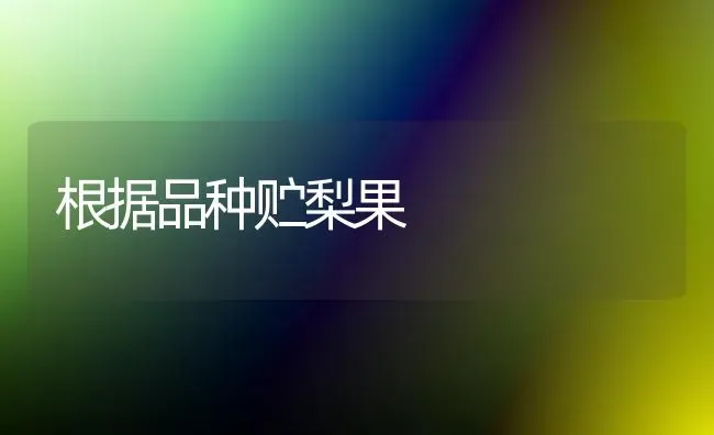 根据品种贮梨果 | 瓜果种植