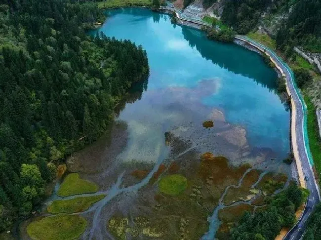 植物产地|历经修复4年 美丽的九寨沟全域恢复开放