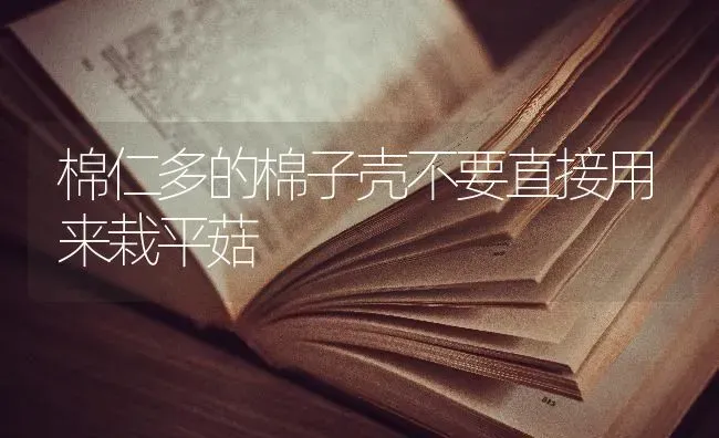 棉仁多的棉子壳不要直接用来栽平菇 | 食用菌种植