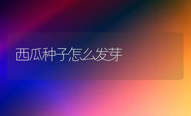 西瓜种子怎么发芽 | 瓜果种植