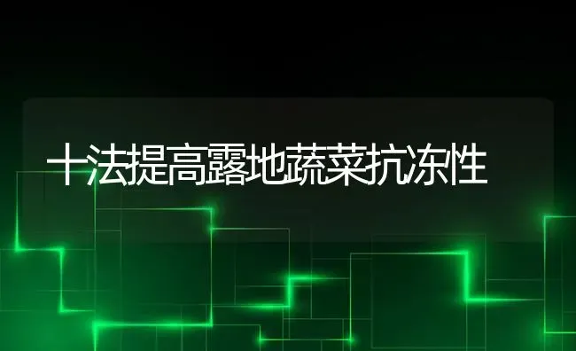 十法提高露地蔬菜抗冻性 | 蔬菜种植