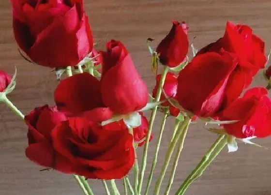 送花|结婚一周年送什么花给老婆 适合结婚一周年纪念日的花束
