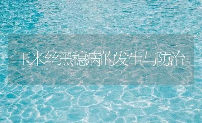 玉米丝黑穗病的发生与防治 | 粮油作物种植