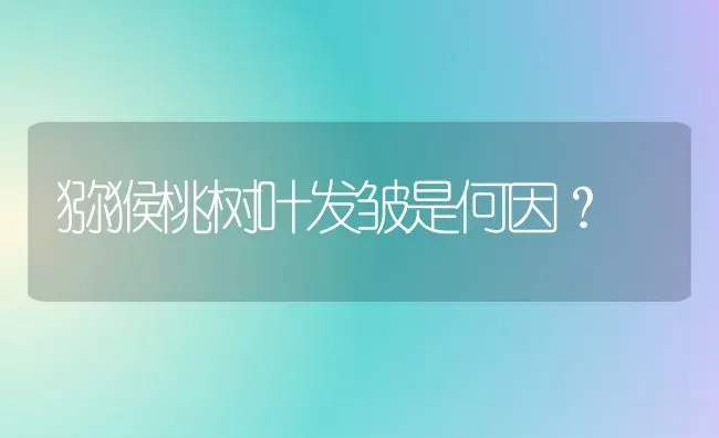 猕猴桃树叶发皱是何因？ | 瓜果种植