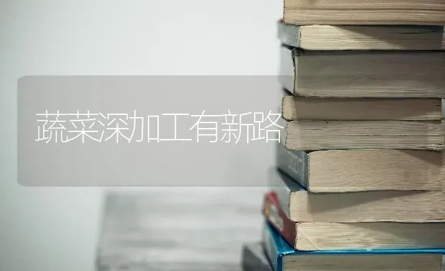 蔬菜深加工有新路 | 蔬菜种植