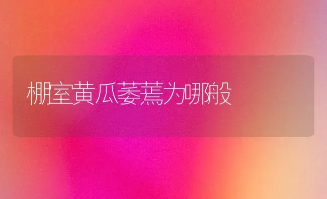 棚室黄瓜萎蔫为哪般 | 蔬菜种植