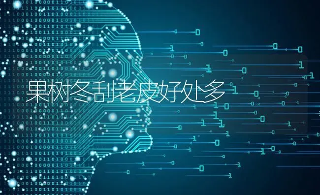 果树冬刮老皮好处多 | 瓜果种植