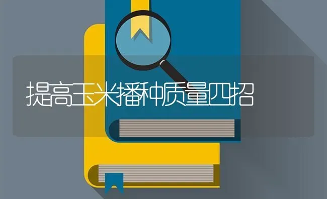 提高玉米播种质量四招 | 粮油作物种植
