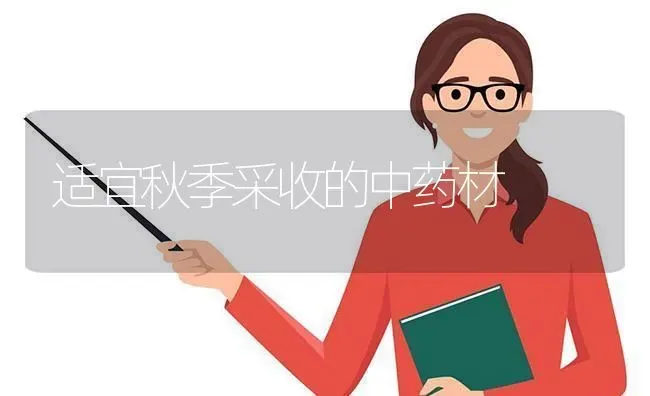 适宜秋季采收的中药材 | 药材种植