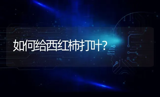 如何给西红柿打叶？ | 蔬菜种植