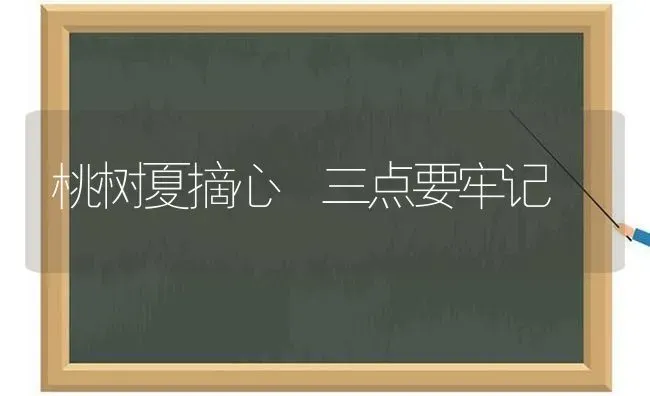 桃树夏摘心 三点要牢记 | 瓜果种植