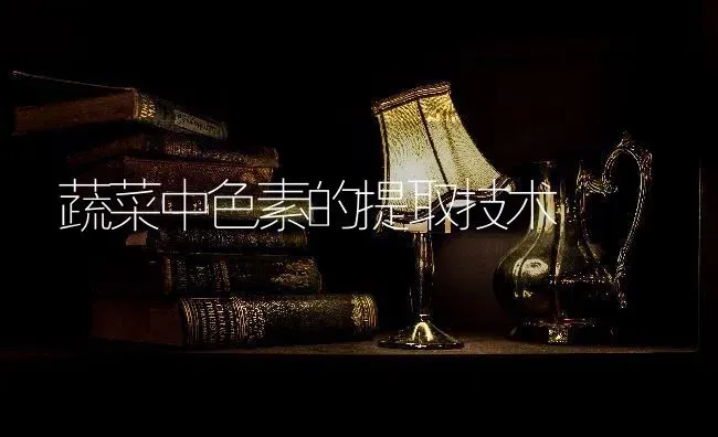蔬菜中色素的提取技术 | 蔬菜种植