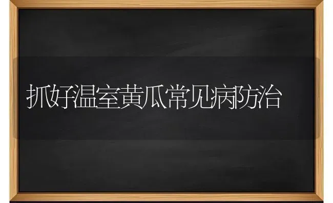 抓好温室黄瓜常见病防治 | 蔬菜种植