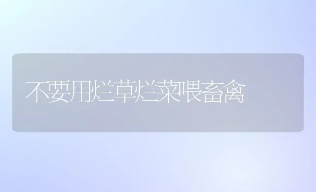 不要用烂草烂菜喂畜禽 | 蔬菜种植