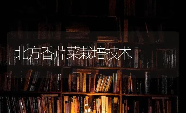 北方香芹菜栽培技术 | 蔬菜种植