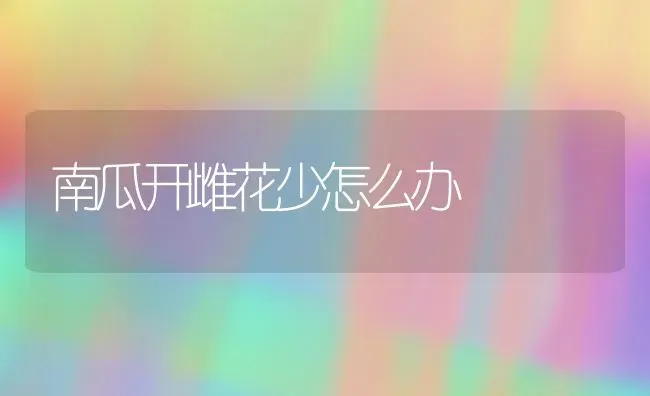 南瓜开雌花少怎么办 | 蔬菜种植