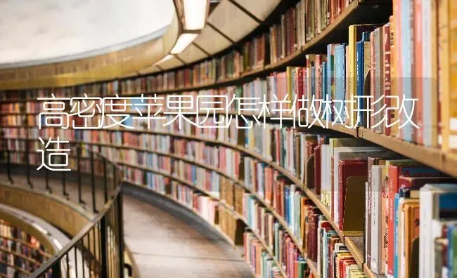 高密度苹果园怎样做树形改造 | 瓜果种植