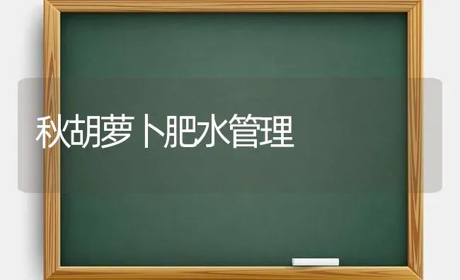 秋胡萝卜肥水管理 | 蔬菜种植