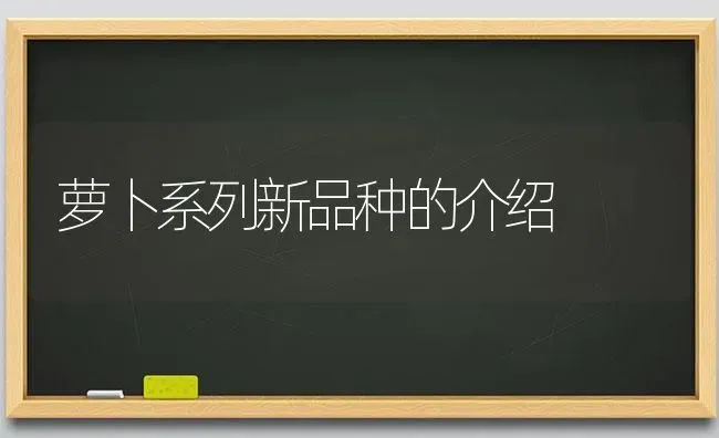 萝卜系列新品种的介绍 | 蔬菜种植