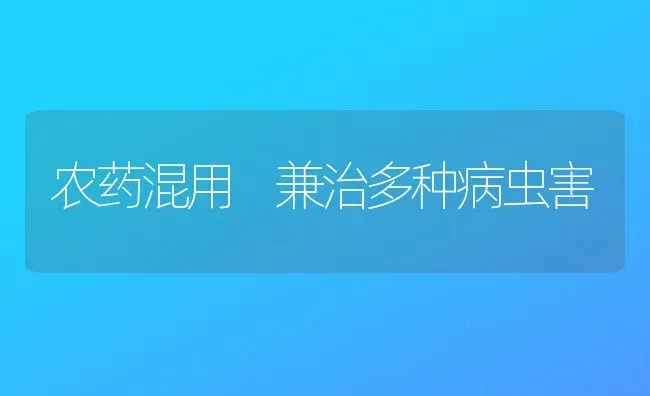 农药混用 兼治多种病虫害 | 种植病虫害防治